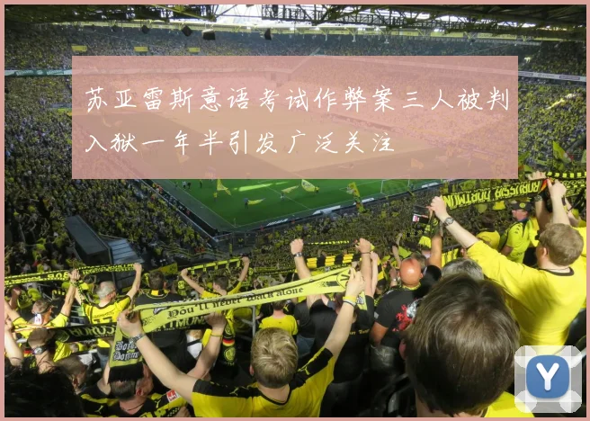 苏亚雷斯意语考试作弊案三人被判入狱一年半引发广泛关注